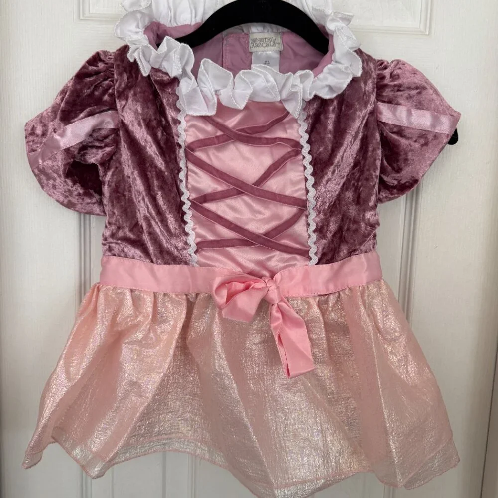 EUC Ministry of Rascals Pet Princess Dog Costume, Pink Dress with Tiara, Large